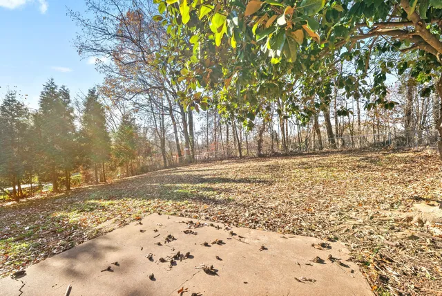 a view of yard with trees