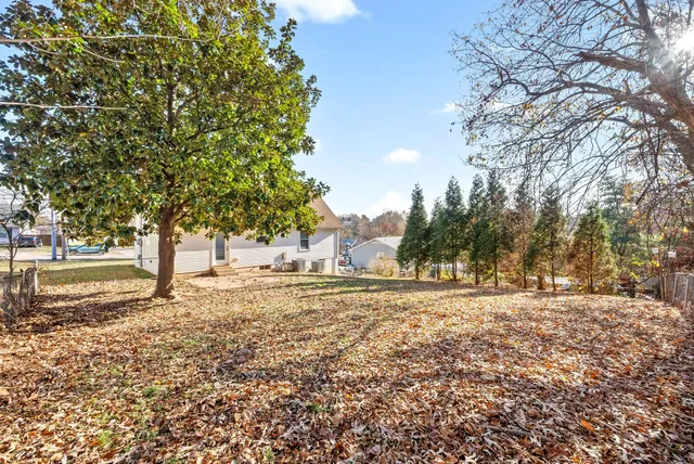 a big yard with large trees