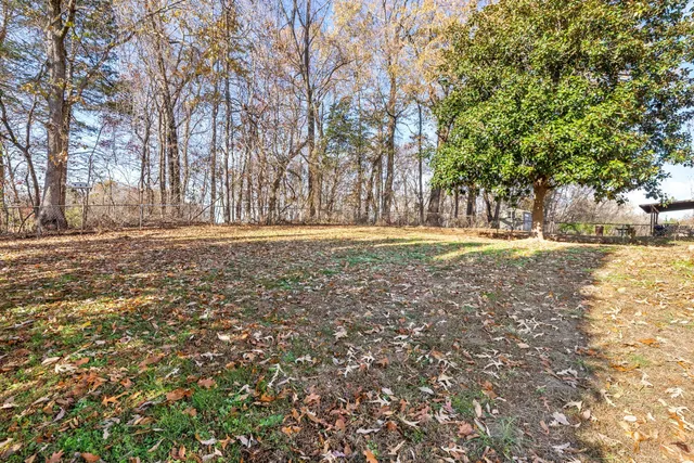 a big yard with trees