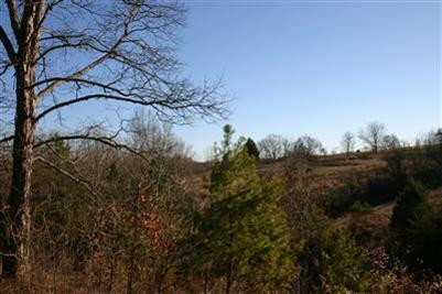 3568 Pine Ridge Road Winchester, KY 40391 - Photo 1 of 4 Photo 1