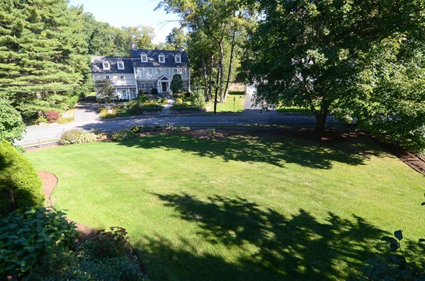 154 Hampshire Road Wellesley, MA 02481 - Photo 29 of 30 a view of a yard with plants and large trees