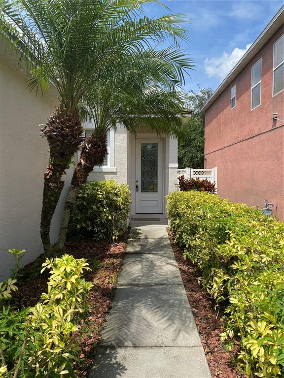 2409 Spring Hollow Loop Wesley Chapel, FL 33544 - Photo 2 of 47 a view of house with garden and flowers