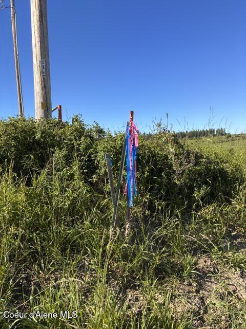 East Van Dusen Road Harrison, ID 83833 - Photo 13 of 13 IMG_4605