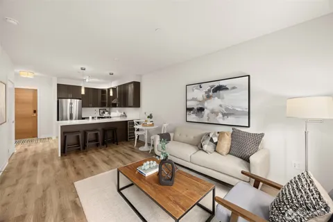 a living room with furniture and a dining table with kitchen view