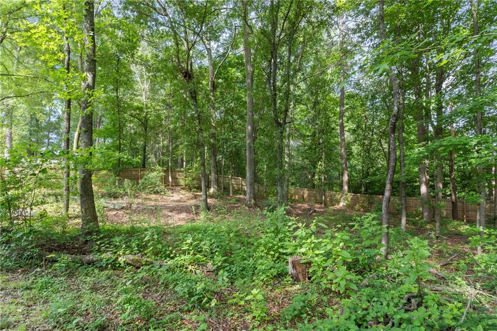245 Hospital Road Commerce, GA 30529 - Photo 23 of 33 a view of backyard with green space