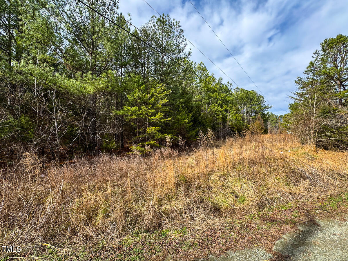0 Southern High School Road Graham, NC 27253 - Photo 41 of 61 Alamance Co. NC 5.98-Backwoods-The Oaks-