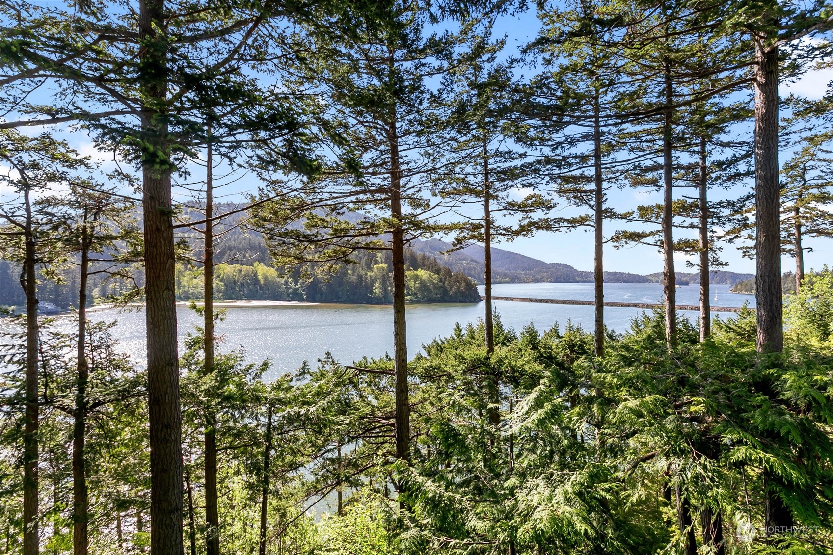 324 Sea Pines Road Bellingham, WA 98229 - Photo 34 of 40 a view of a yard in front of the house