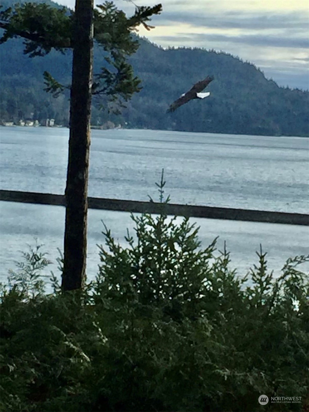 324 Sea Pines Road Bellingham, WA 98229 - Photo 39 of 40