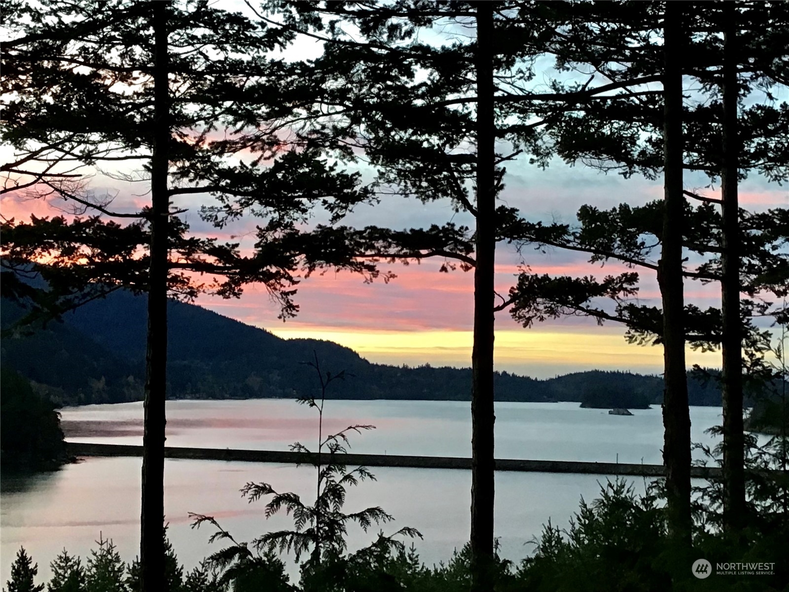 324 Sea Pines Road Bellingham, WA 98229 - Photo 40 of 40 a view of ocean from a tree