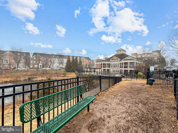 a view of a yard with large tree