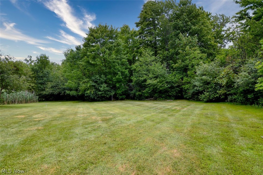 6967 Auburn Ridge Road Painesville, OH 44077 - Photo 40 of 47