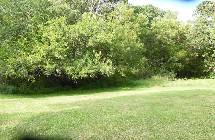 9838 East Flagg Road Rochelle, IL 61068 - Photo 12 of 12 a view of yard with green space