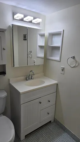 a bathroom with a sink vanity and a toilet