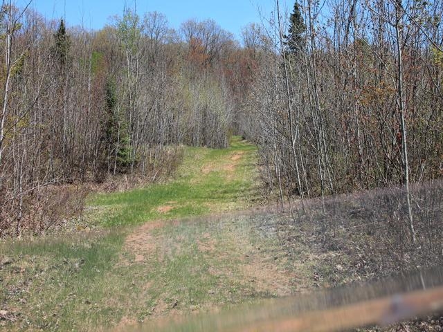 19081 Erickson Drive Dunbar, WI 54119 - Photo 70 of 87