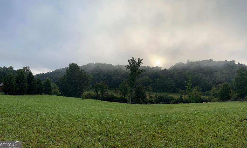 Lot 5 Sexton Circle Ellijay, GA 30540 - Photo 4 of 22