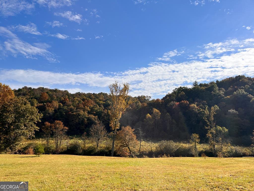 Lot 5 Sexton Circle Ellijay, GA 30540 - Photo 5 of 22