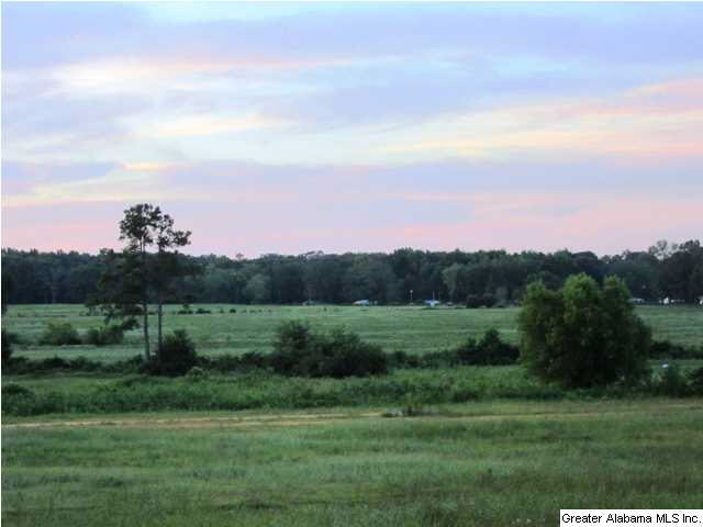 120 Searcy Lane Clanton, AL 35045 - Photo 31 of 32