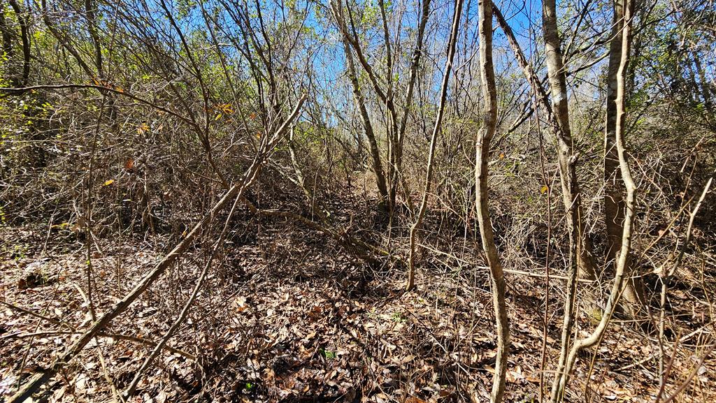 1964 County Line Road Dothan, AL 36305 - Photo 87 of 92