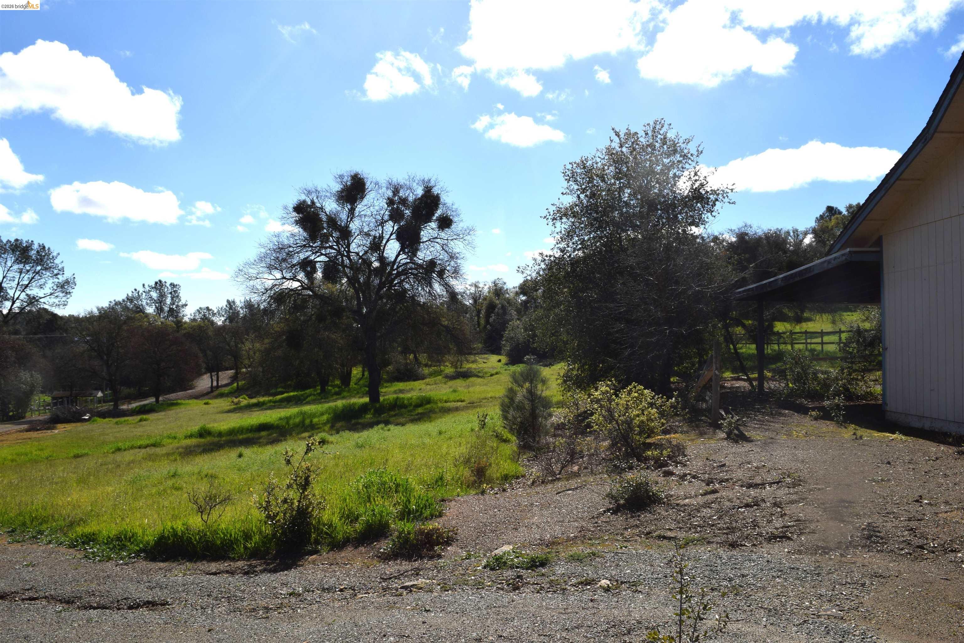 913 Quill Road Copperopolis, CA 95228 - Photo 35 of 55 a view of a park with large trees