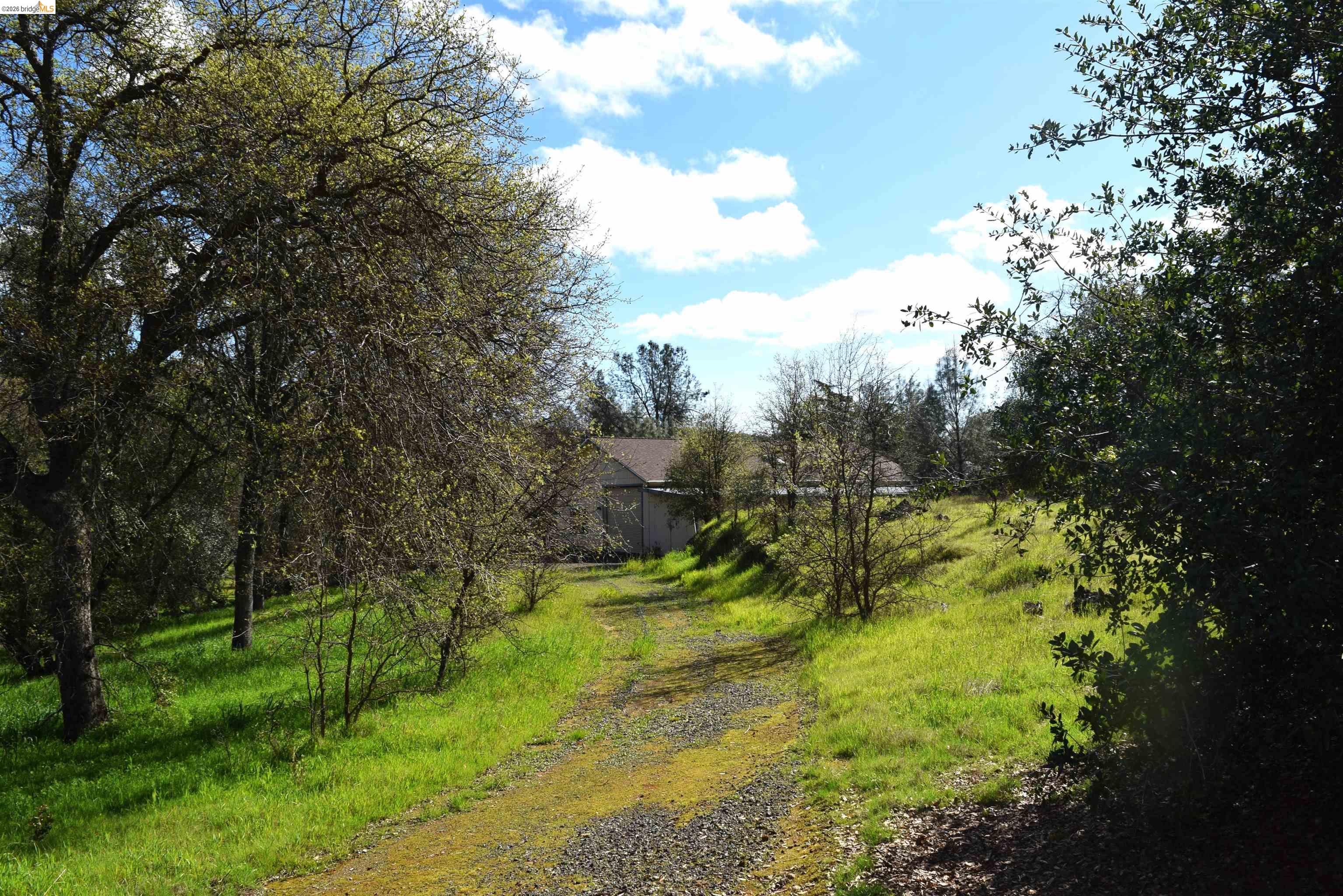 913 Quill Road Copperopolis, CA 95228 - Photo 41 of 55 a view of a yard with a tree