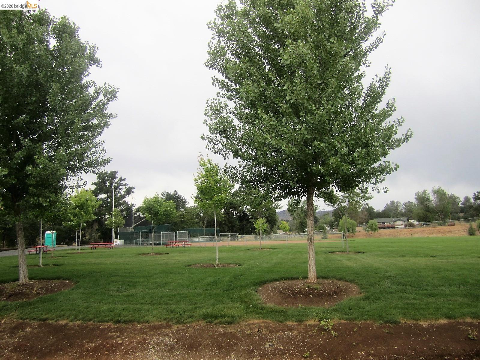 913 Quill Road Copperopolis, CA 95228 - Photo 48 of 55 a view of a park