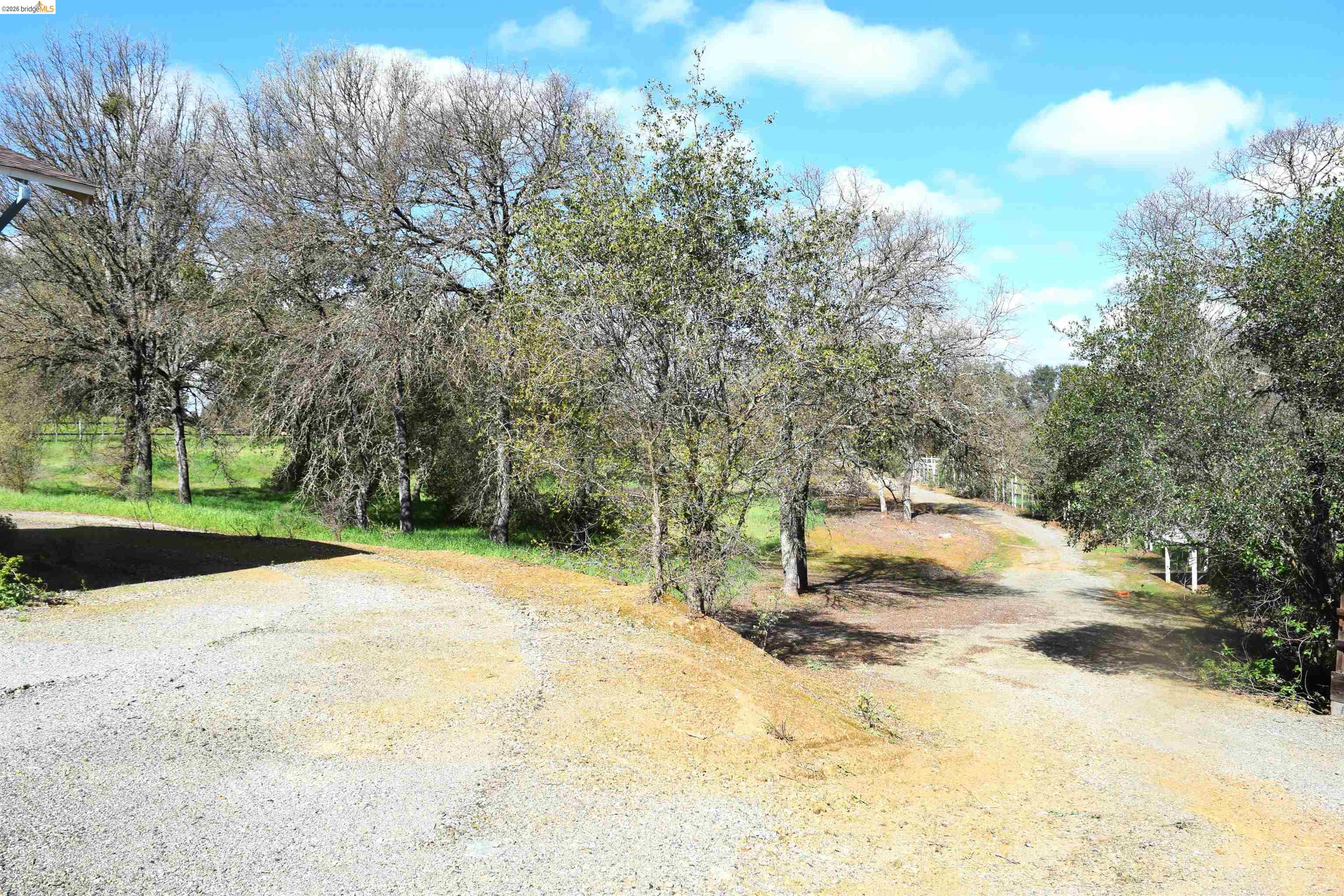 913 Quill Road Copperopolis, CA 95228 - Photo 7 of 55 a view of a yard with trees