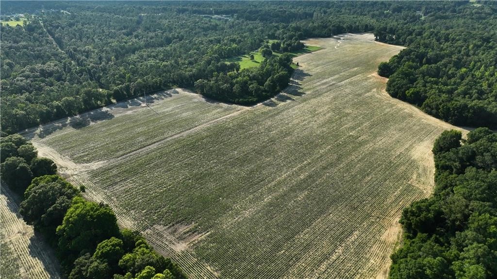 0 Sweetwater Branch Road Fort Mitchell, AL 36856 - Photo 16 of 20 Gallery Image 16