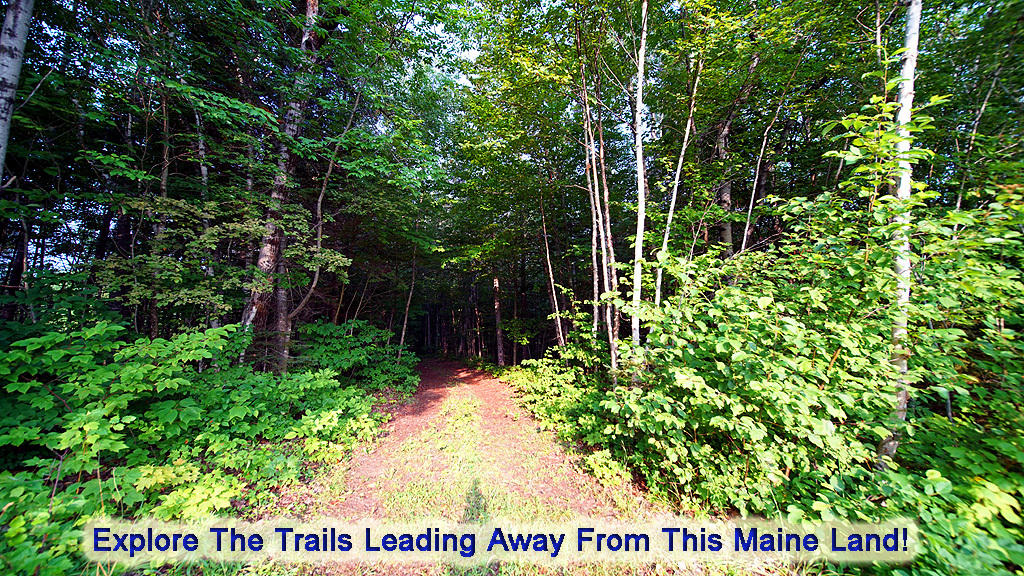 Lot 9-1 New Limerick Road Houlton, ME 04730 - Photo 30 of 40 leisner-maine-land-19
