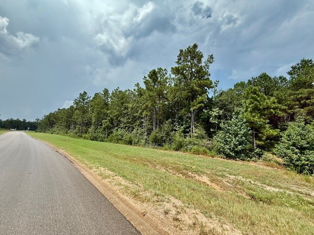 10769 Ruger Road Willis, TX 77378 - Photo 11 of 19 a view of a yard with an trees