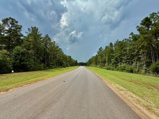10769 Ruger Road Willis, TX 77378 - Photo 12 of 19 a view of a yard and basketball court