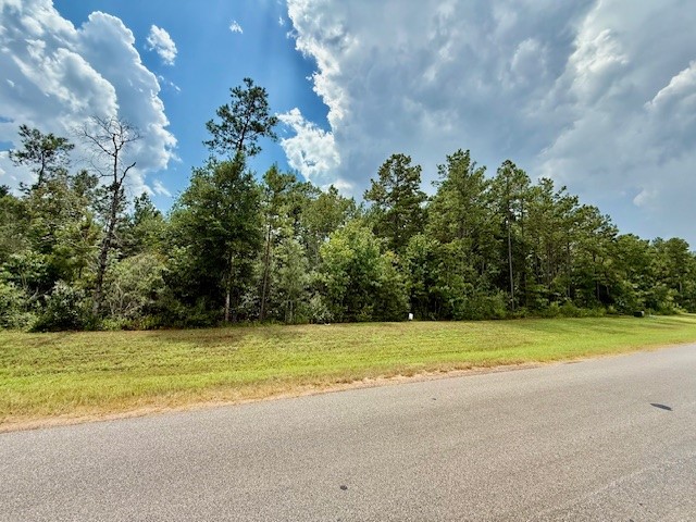 10769 Ruger Road Willis, TX 77378 - Photo 13 of 19 a view of a swimming pool and an outdoor space