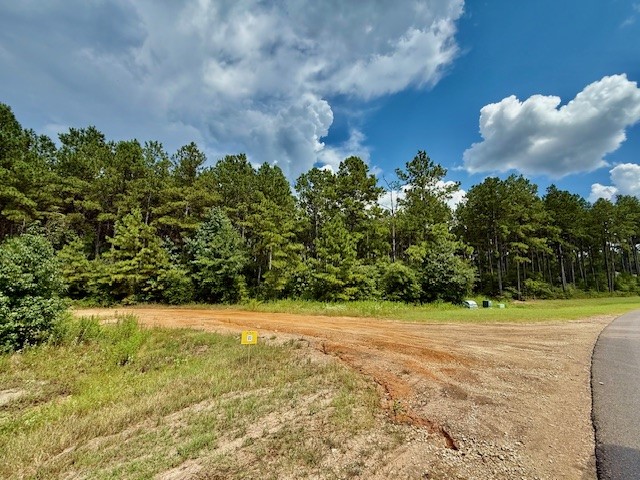 10769 Ruger Road Willis, TX 77378 - Photo 14 of 19 a view of a yard with a house in the background