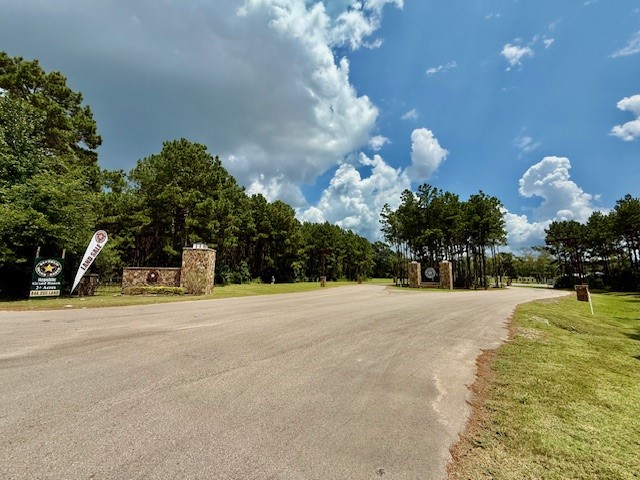 10769 Ruger Road Willis, TX 77378 - Photo 4 of 19 a view of a house with a yard and basketball court