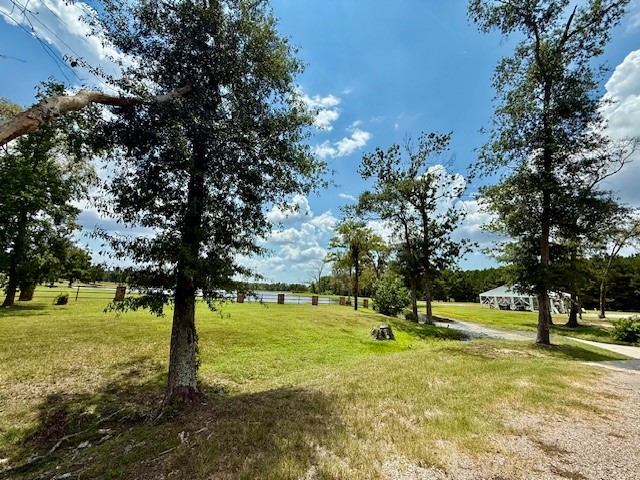 10769 Ruger Road Willis, TX 77378 - Photo 6 of 19 a view of a tree in a yard