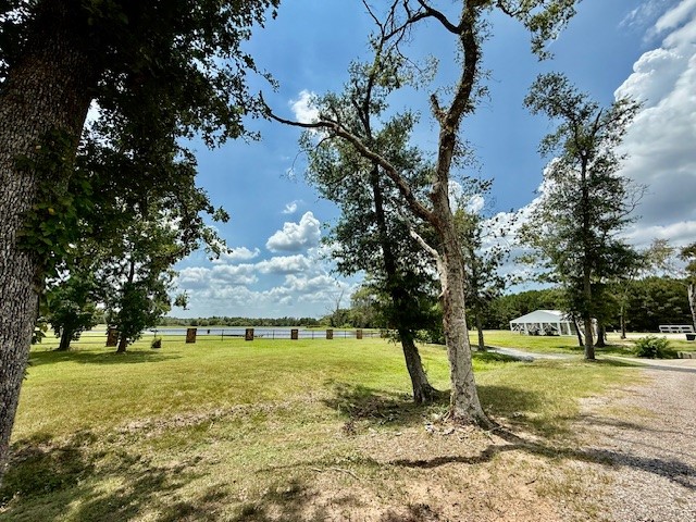 10769 Ruger Road Willis, TX 77378 - Photo 7 of 19 a view of a yard with plants and trees
