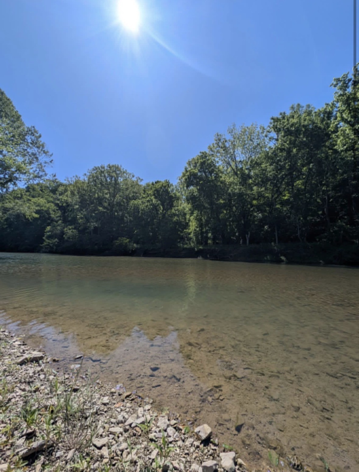 8167 Primm Springs Road Primm Springs, TN 38476 - Photo 1 of 1