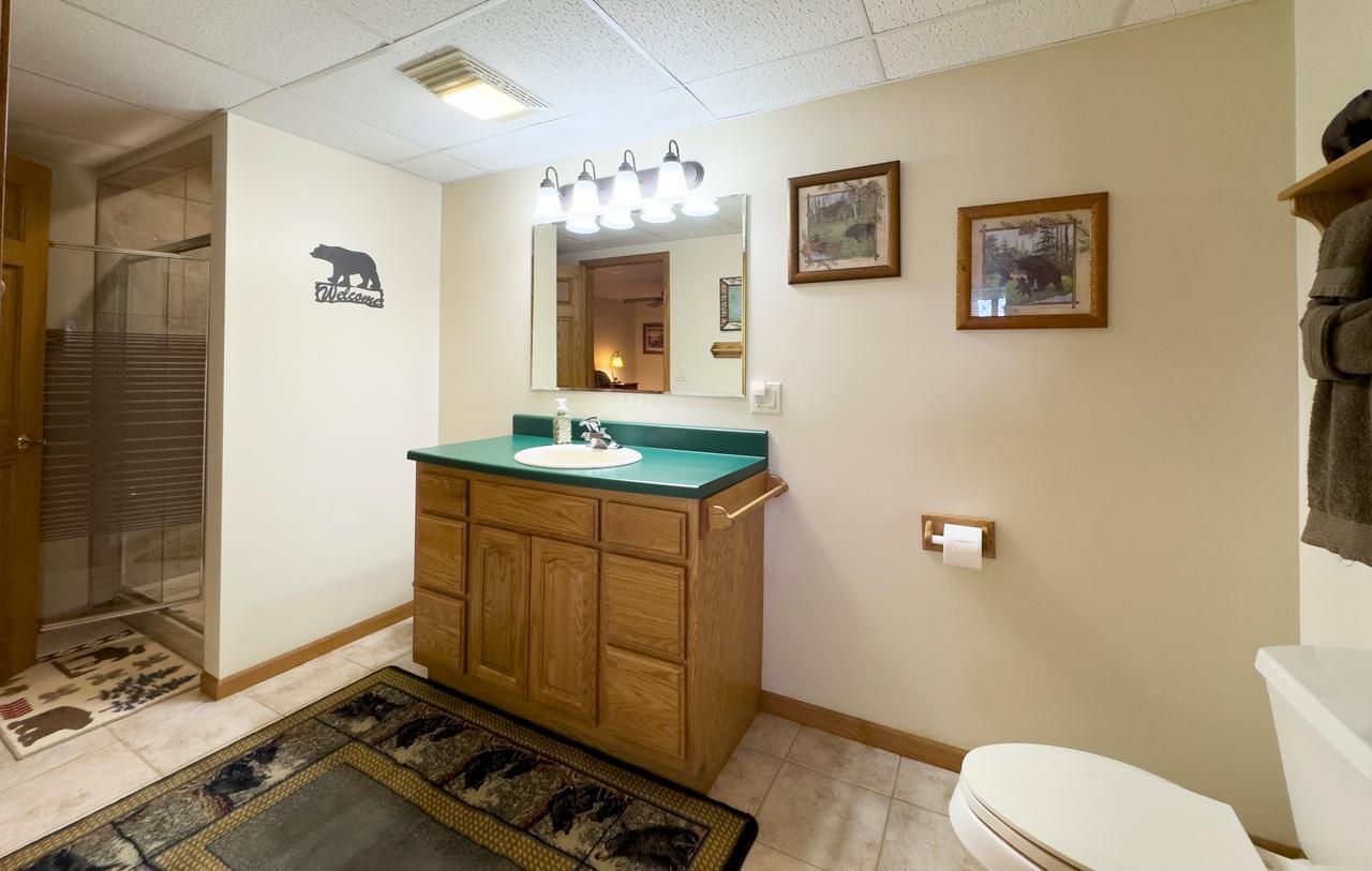 1880 Everett Road South Tower, MN 55790 - Photo 20 of 50