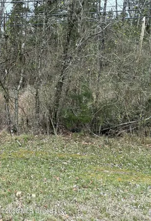 $35,000 | Old Vicksburg Rd Road, Clinton, MS 39056