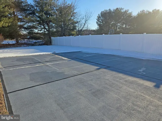 a view of backyard and tree