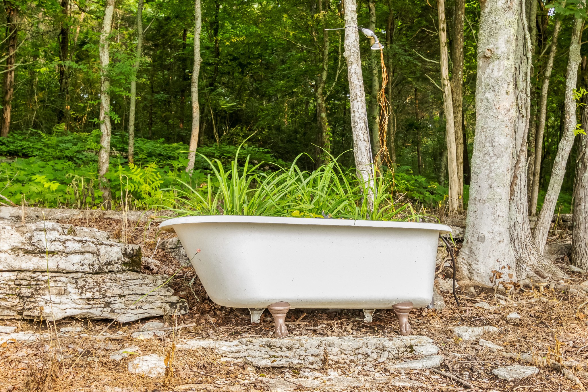 1049 Oregon Road Lascassas, TN 37085 - Photo 13 of 99 a view of a bathtub in a garden