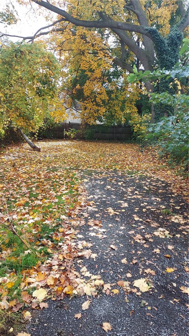 85 Eiffel Place Rochester, NY 14621 - Photo 9 of 9