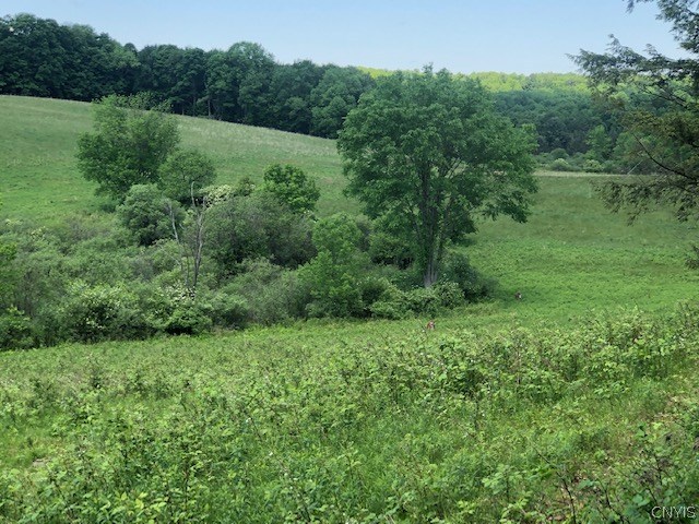 10277 Chesebro Road Brookfield, NY 13485 - Photo 14 of 24
