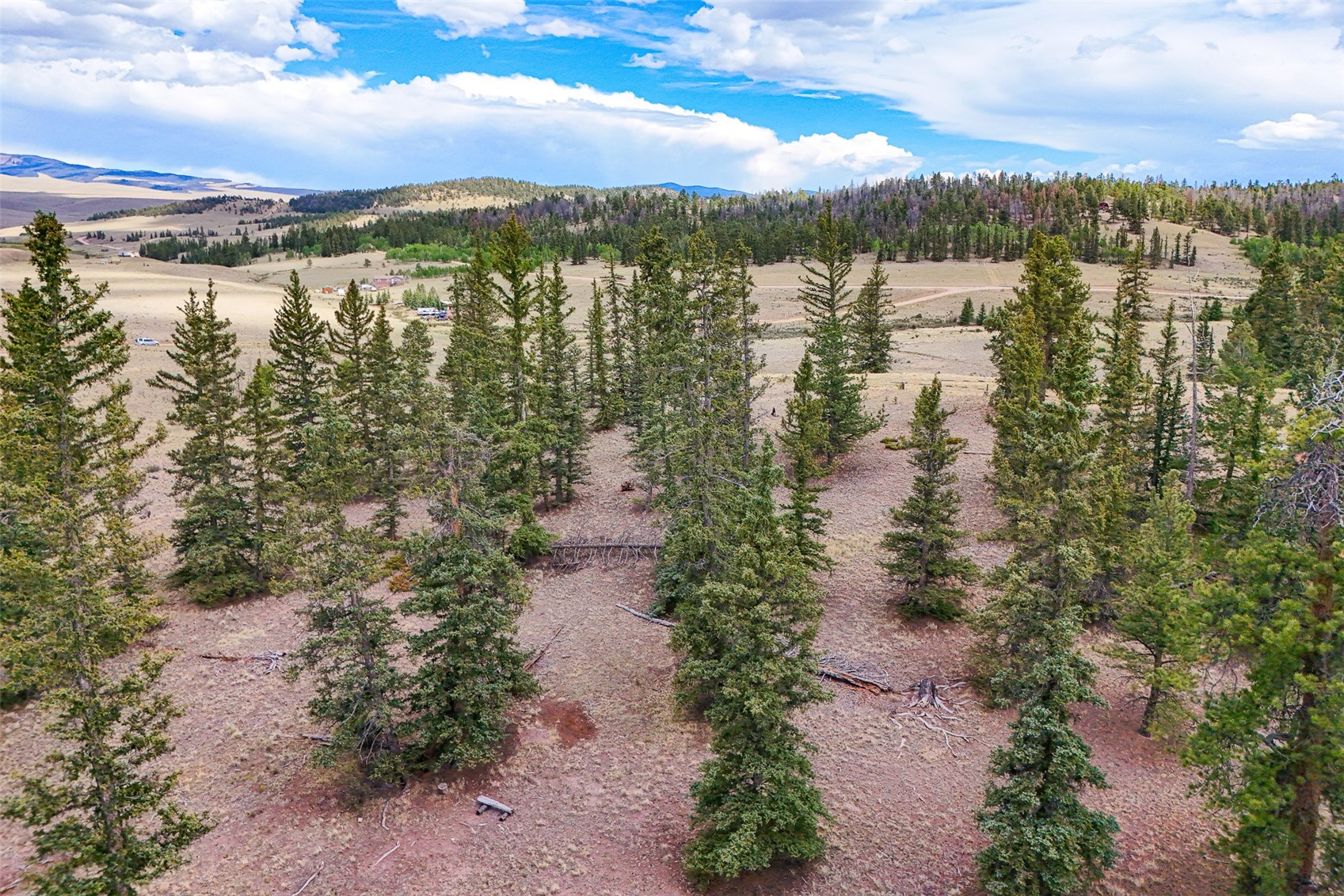 1111 Latigo Loop Hartsel, CO 80449 - Photo 12 of 20