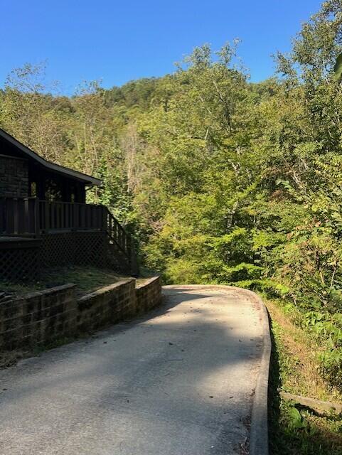 1085 Spring Branch Road Jeremiah, KY 41826 - Photo 9 of 31 thumbnail_IMG_2153