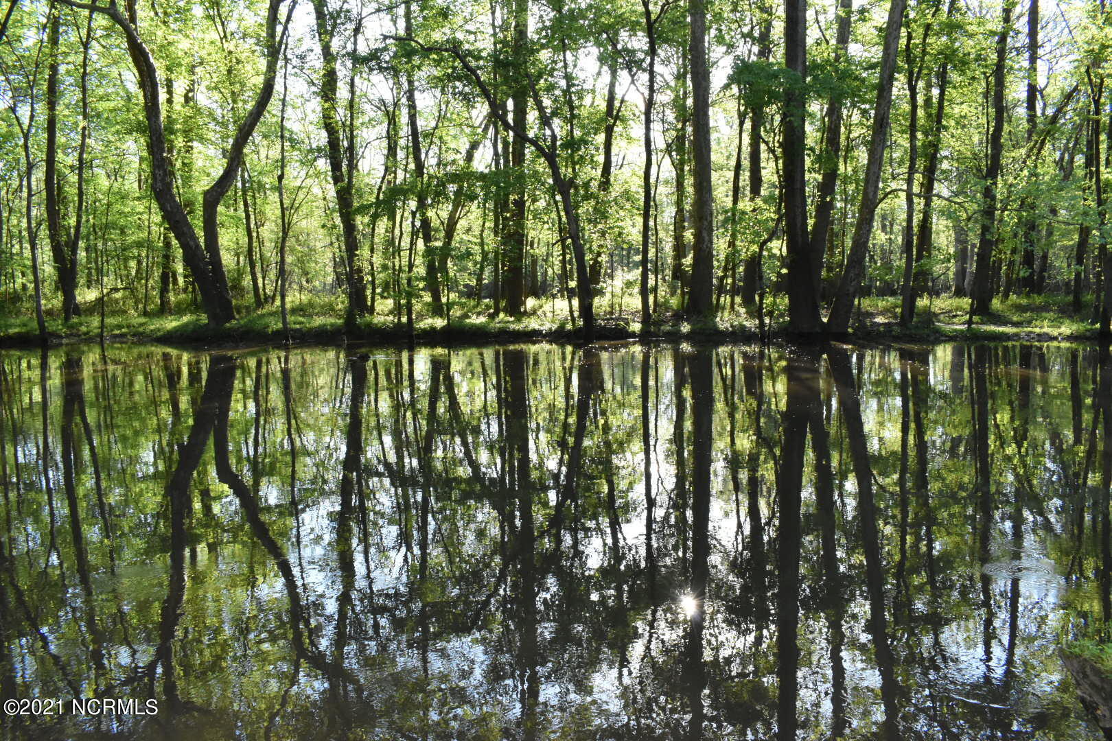640 Butler Ford Road Vanceboro, NC 28586 - Photo 53 of 58 2019-04-20 23.39.45