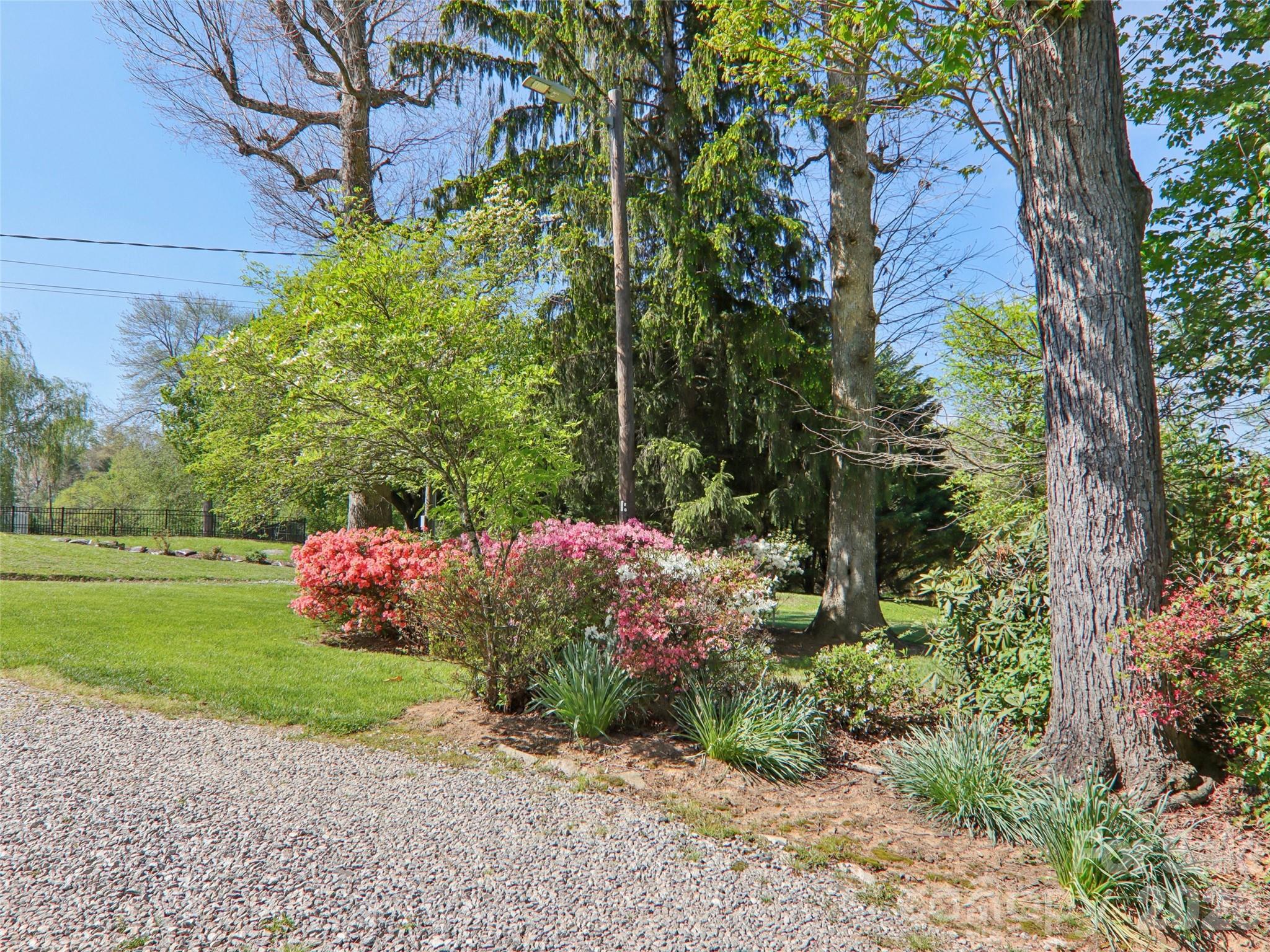 927 Ladson Road Mills River, NC 28759 - Photo 45 of 47