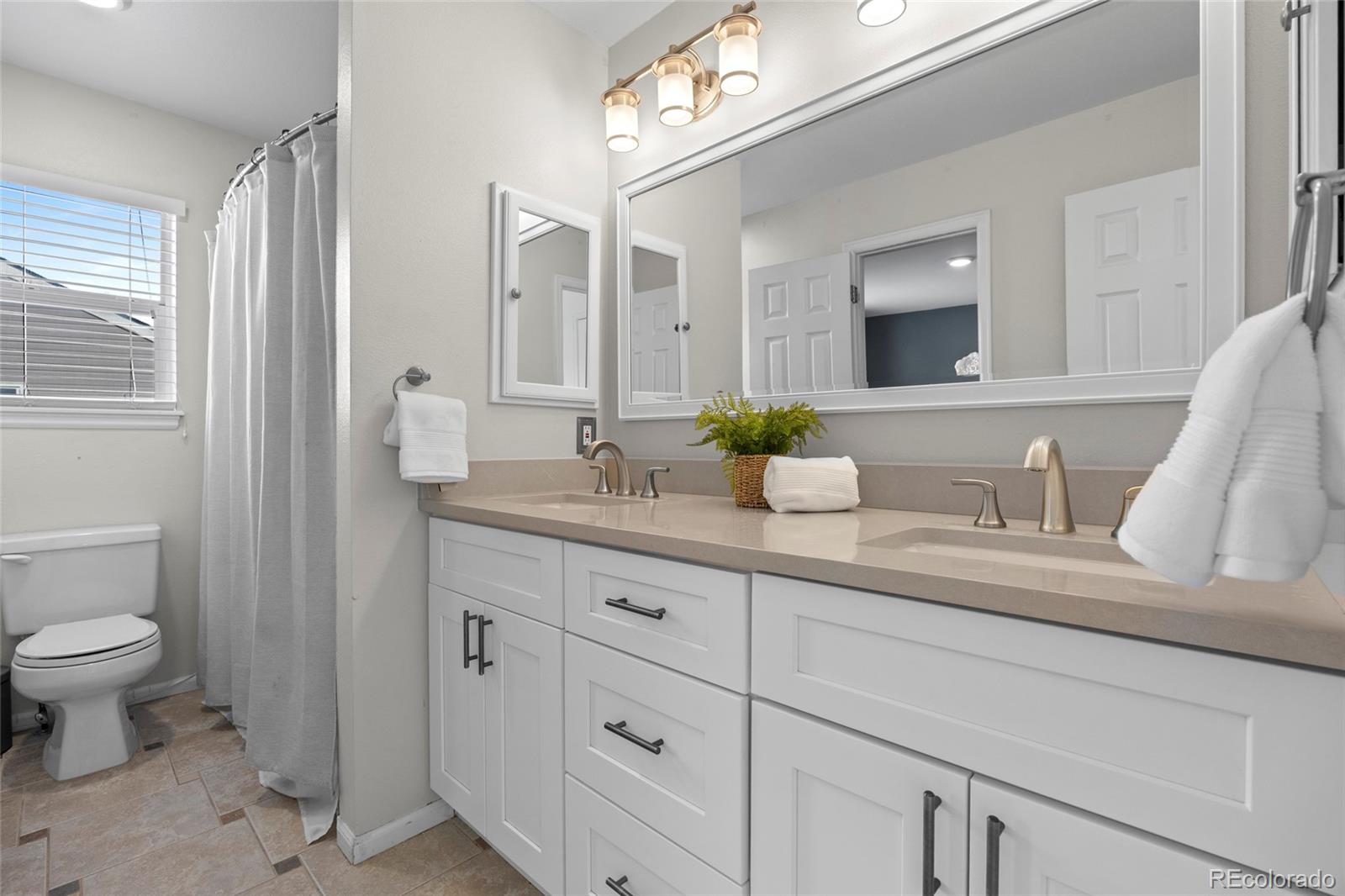 617 Huntington Place Highlands Ranch, CO 80126 - Photo 33 of 49 Gallery Image 33