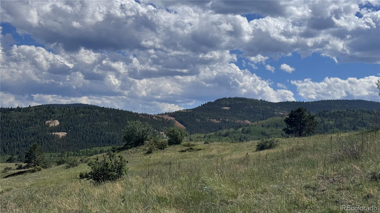 2 Mac Rock Road Central City, CO 80427 - Photo 8 of 20