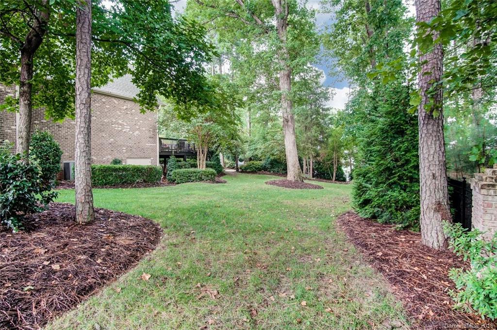556 Medora Lane Fort Mill, SC 29708 - Photo 41 of 47 a view of a yard with plants and large trees