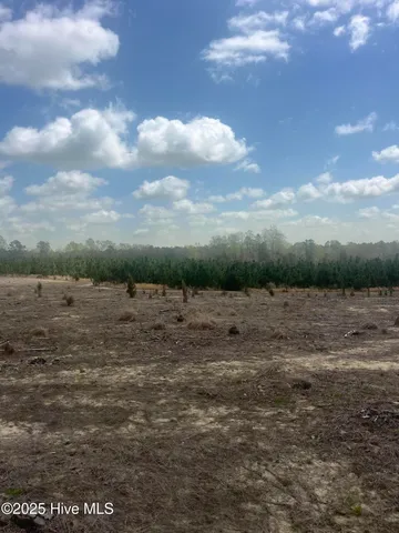 $164,160 | 1711 Currie Mill Road, Jackson Springs, NC 27281